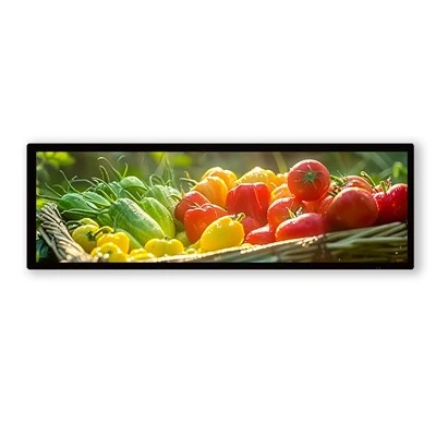 28 .6 Κατασκευαστής οθόνης διπλής όψης οθόνης LCD ιντσών